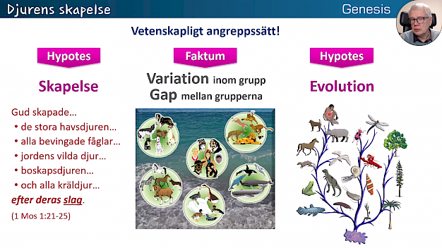 Main image for page: Video: Grundläggande Skapelsetro - Anders Gärdeborn